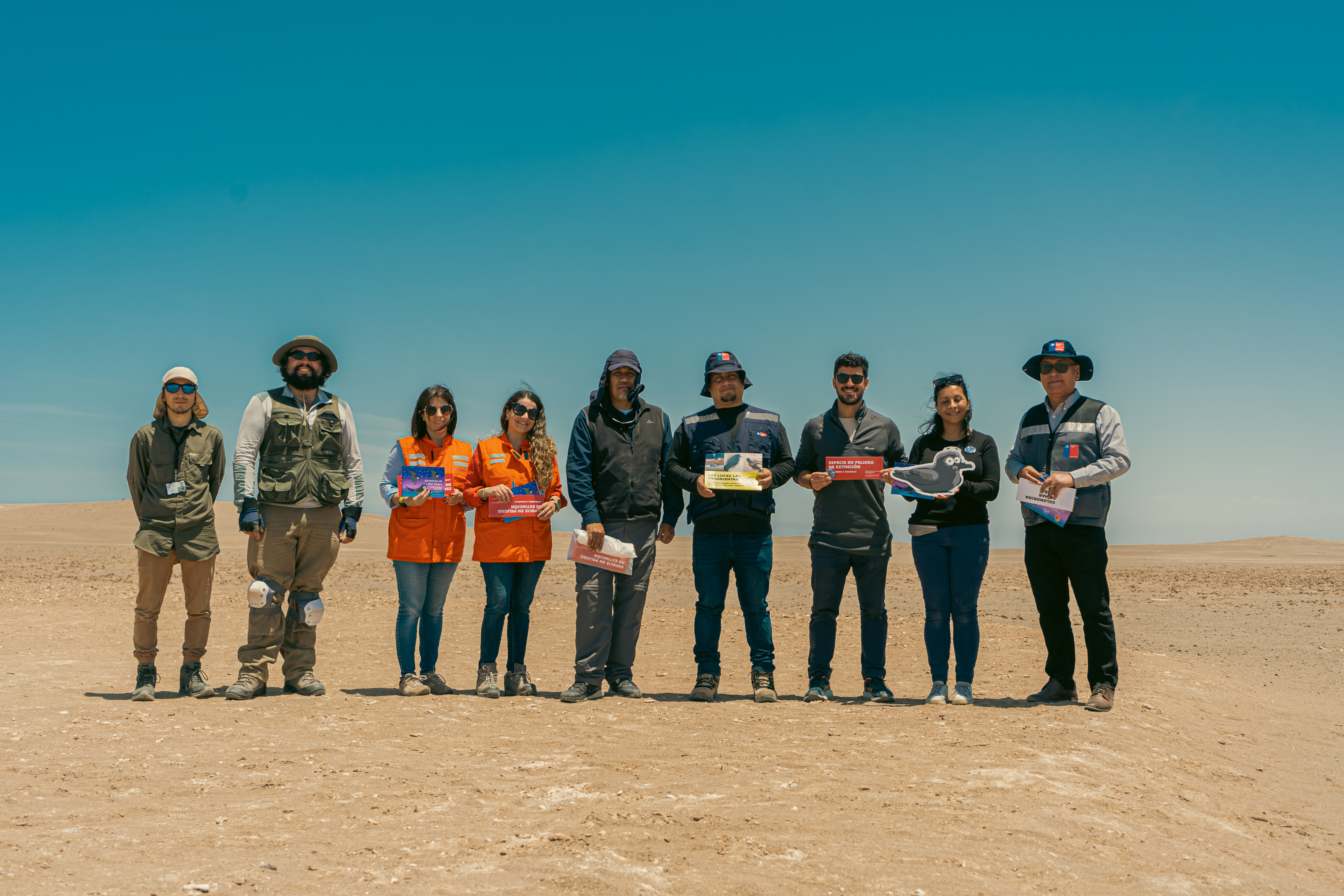 Monitorización sitios de reproducción de golondrinas de mar en Arica y Parinacota