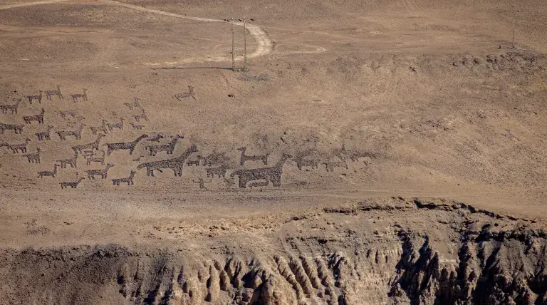 geoglifos de la quebrada de Tiliviche