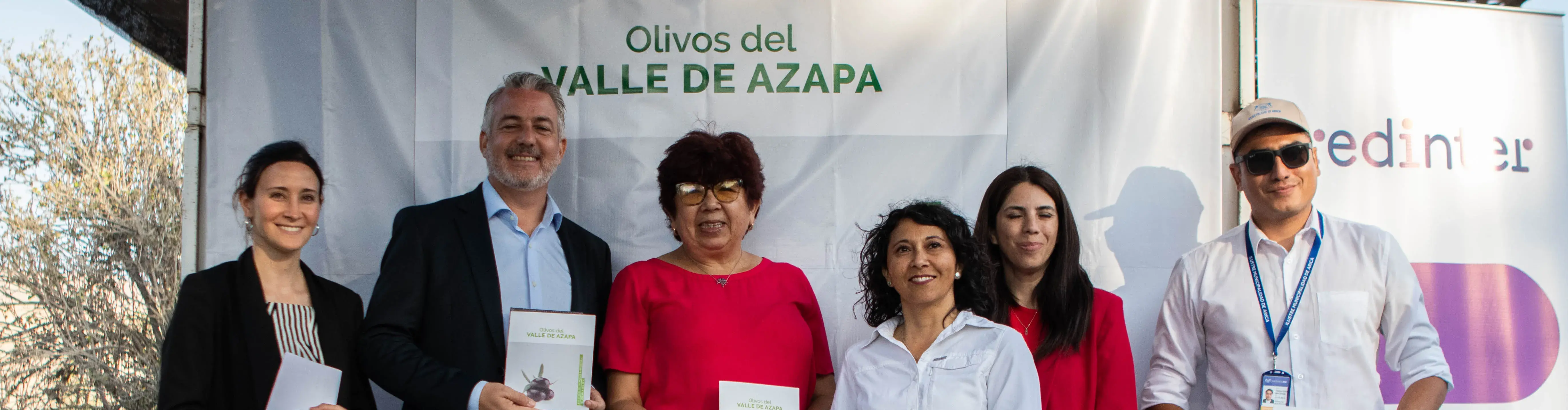 Día Mundial del Olivo