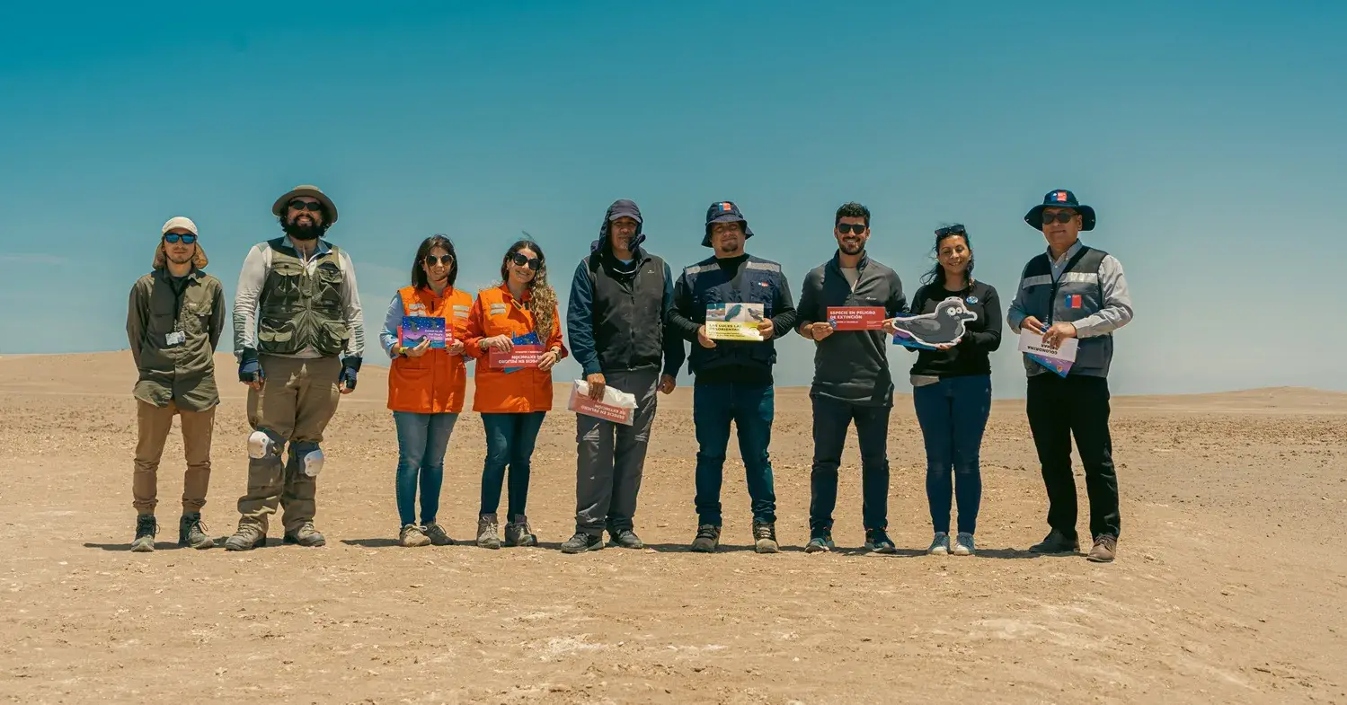 Monitorización sitios de reproducción de golondrinas de mar en Arica y Parinacota
